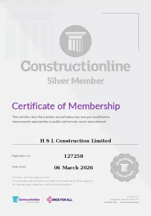 Construction Line Silver